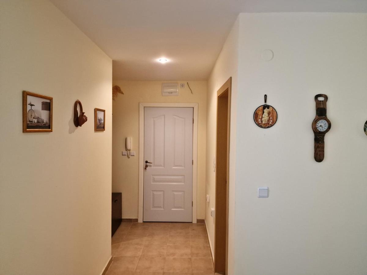 Słoneczny Brzeg Green Fort Noks Studio Zewnętrze zdjęcie